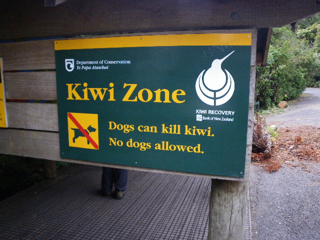 Kiwi Zone