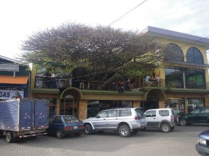 Tree House in Sta. Elena