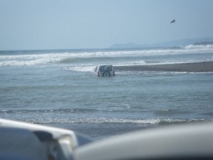 Swiming Jimny