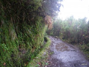 Levada-Weg