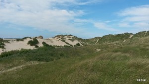 Wanderung zwischen den Dünen