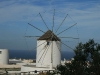 Eine der wenigen \"lebenden\" Windmühlen