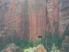 Im Zion NP