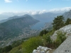 Kotor (P)