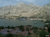 Hafen von Kotor (P)