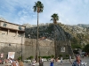 Kotor (P)