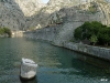 Kotor (P)