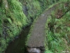 Levada