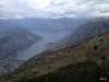 Kotor